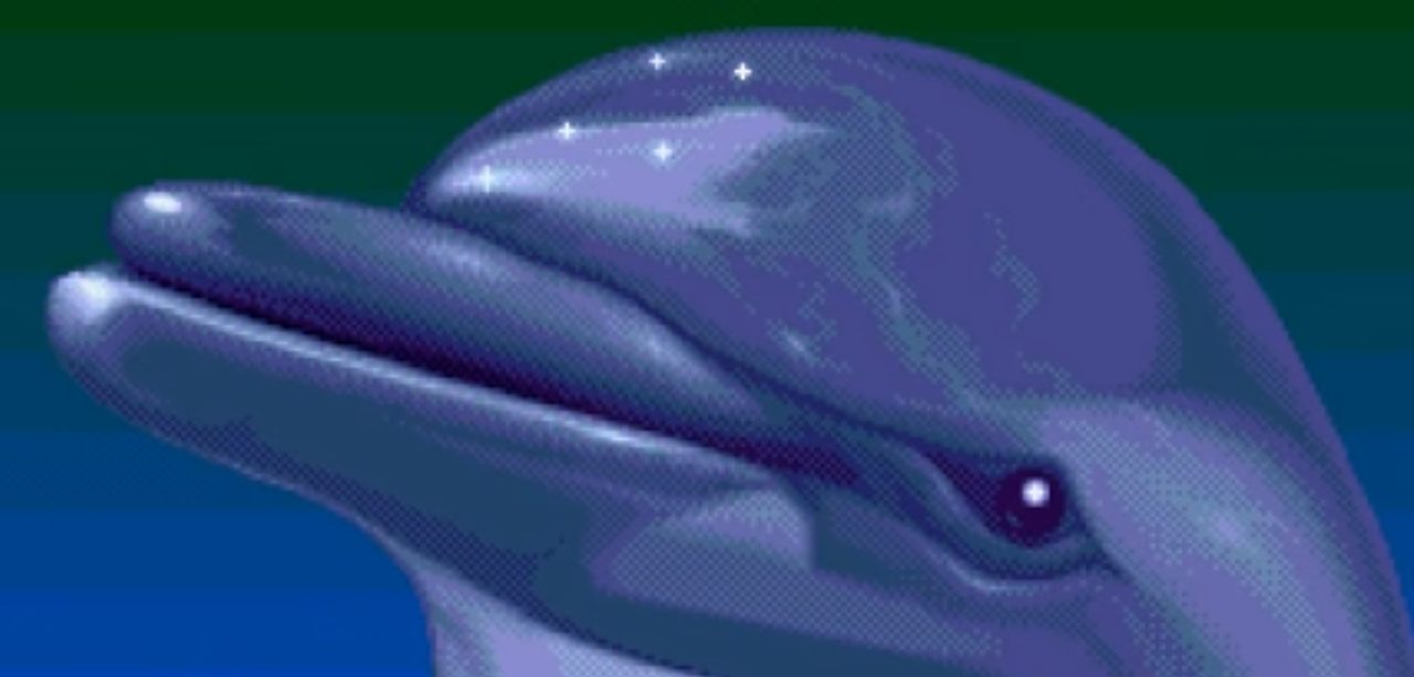 Ecco, un delfín que viaja en el tiempo